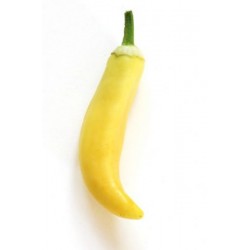 Pimenta Banana Pepper: 20 Sementes