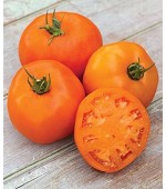 Tomate Laranja: 20 Sementes