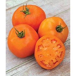 Tomate Laranja: 20 Sementes