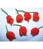 Pimenta Carolina Reaper - 5 Sementes (Pimenta + Forte do Mundo 2014)