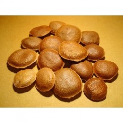 Sucupira Para Chá 20g