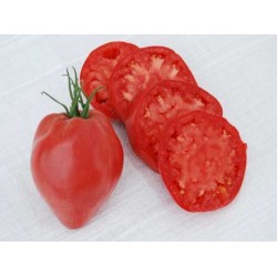 Tomate Coração De Boi: 20 Sementes