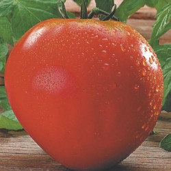 Tomate Coração De Boi: 20 Sementes