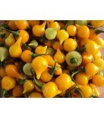 Pimenta Biquinho Amarela - 40 Sementes 