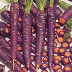 Cenoura Cosmic Purple: 20 Sementes