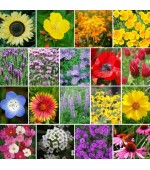 Flores Sortidas - 300 Sementes
