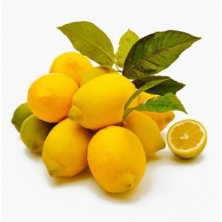 Limão Siciliano - 5 Sementes