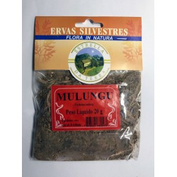 Mulungu Para Chá 20g