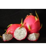 Pitaya Branca (Dragon Fruit) - Rara - 15 Sementes 