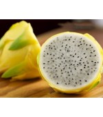 Pitaya Amarela (Dragon Fruit) - Rara - 15 Sementes