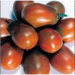 Tomate Black Plum - 20 Sementes