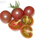 Tomate Black Cherry (Cereja Preto) - ORGÂNICO - 20 Sementes