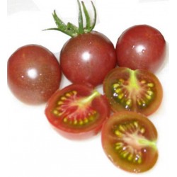 Tomate Black Cherry (Cereja Preto) - ORGÂNICO - 20 Sementes