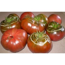 Tomate Black Krim - 20 Sementes