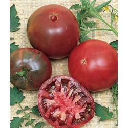 Tomate Black Krim - 20 Sementes
