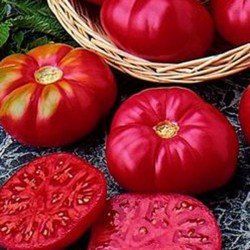 Tomate Caspian Pink - 20 Sementes 