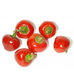 Pimenta Cereja (Cherry Pepper) - 10 Sementes 