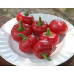 Pimenta Cereja (Cherry Pepper) - 10 Sementes 