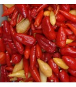Pimenta Chili Mexicana - 20 Sementes 