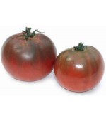 Tomate Black Krim - 20 Sementes