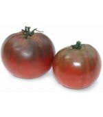 Tomate Black Krim - 20 Sementes