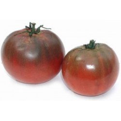 Tomate Black Krim - 20 Sementes
