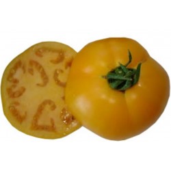 Tomate Jubileu - 20 Sementes