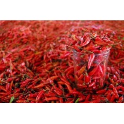 Pimenta Malagueta: 60 Sementes