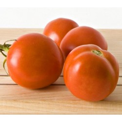 Tomate Siberiano - 20 Sementes