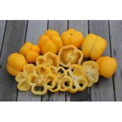 Tomate Yellow Stuffer - 20 Sementes