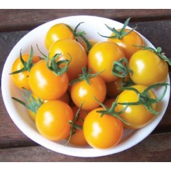 Tomate Cereja Laranja: 20 Sementes