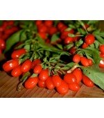 Goji Berry - 20 Sementes
