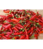 Pimenta Malaguetinha - 30 Sementes 