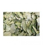 Boldo Do Chile Para Chá 15g