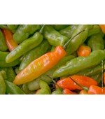 Pimenta Murupi: 10 Sementes