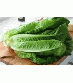Alface Romana - 50 Sementes