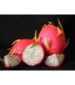 Pitaya Branca (Dragon Fruit) - Rara - 15 Sementes 